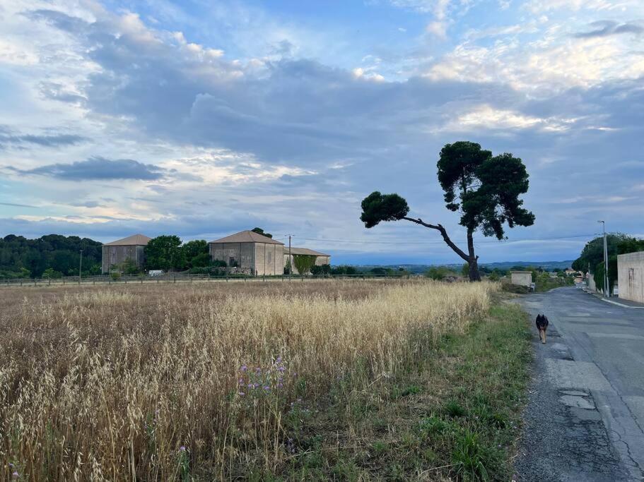 Charming With Roof Terrace! Villa Thezan-les-Beziers